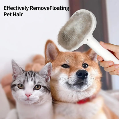 Brosse Pulvérisante pour Chiens et Chats